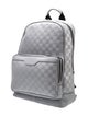 Louis Vuitton Damier Infini Backpack