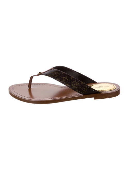 Louis Vuitton 2022 LV Monogram Flip Flops
