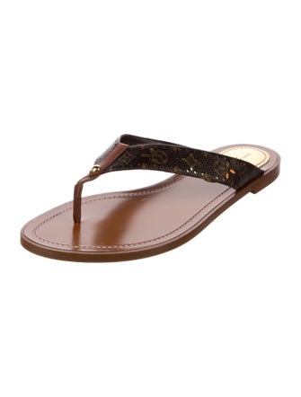Louis Vuitton 2022 LV Monogram Flip Flops