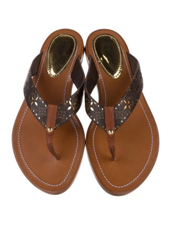 Louis Vuitton 2022 LV Monogram Flip Flops