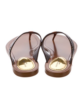Louis Vuitton 2022 LV Monogram Flip Flops