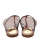 Louis Vuitton 2022 LV Monogram Flip Flops