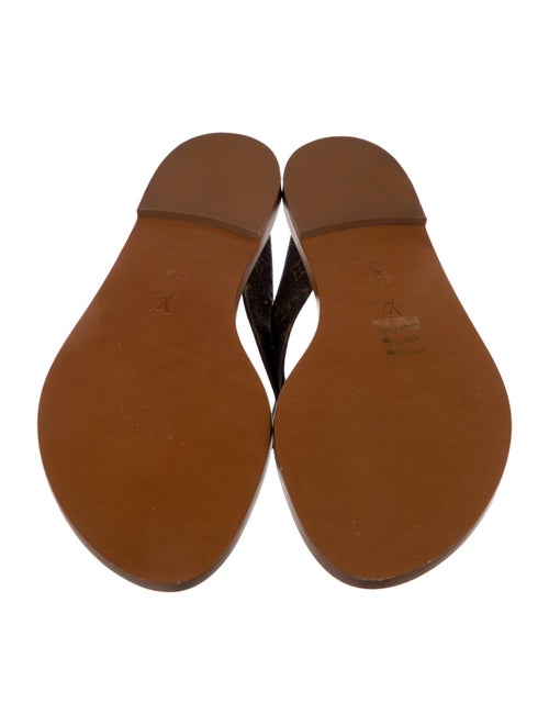 Louis Vuitton 2022 LV Monogram Flip Flops