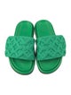 Louis Vuitton LV Monogram Slides