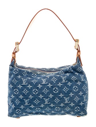 Louis Vuitton LV Monogram Baggy PM