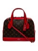 Louis Vuitton LV Monogram Dora PM