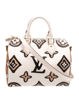 Louis Vuitton LV Monogram Speedy Bandouliere Small