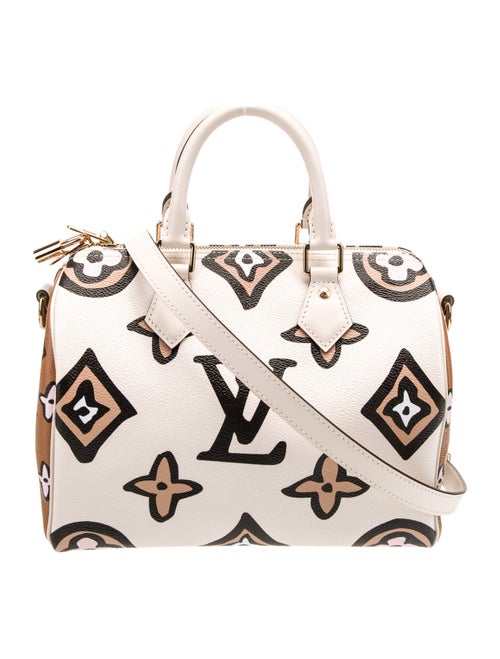 Louis Vuitton LV Monogram Speedy Bandouliere Small