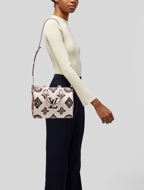 Louis Vuitton LV Monogram Speedy Bandouliere Small