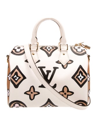 Louis Vuitton LV Monogram Speedy Bandouliere Small