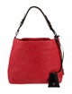 Louis Vuitton LV Monogram Antheia Hobo PM