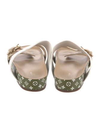 Louis Vuitton 2019 Monogram Pattern Slides