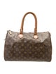 Louis Vuitton LV Monogram Speedy 30