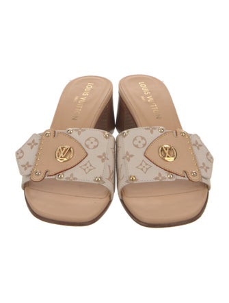 Louis Vuitton LV Monogram Slides