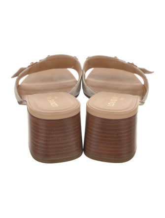 Louis Vuitton LV Monogram Slides