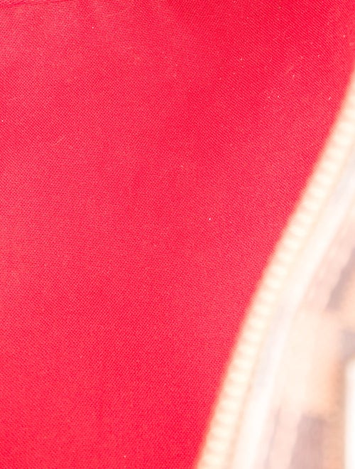 Louis Vuitton Damier Ebene Speedy 30