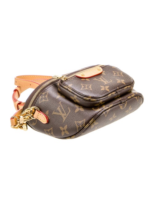 Louis Vuitton LV Monogram Bumbag Mini