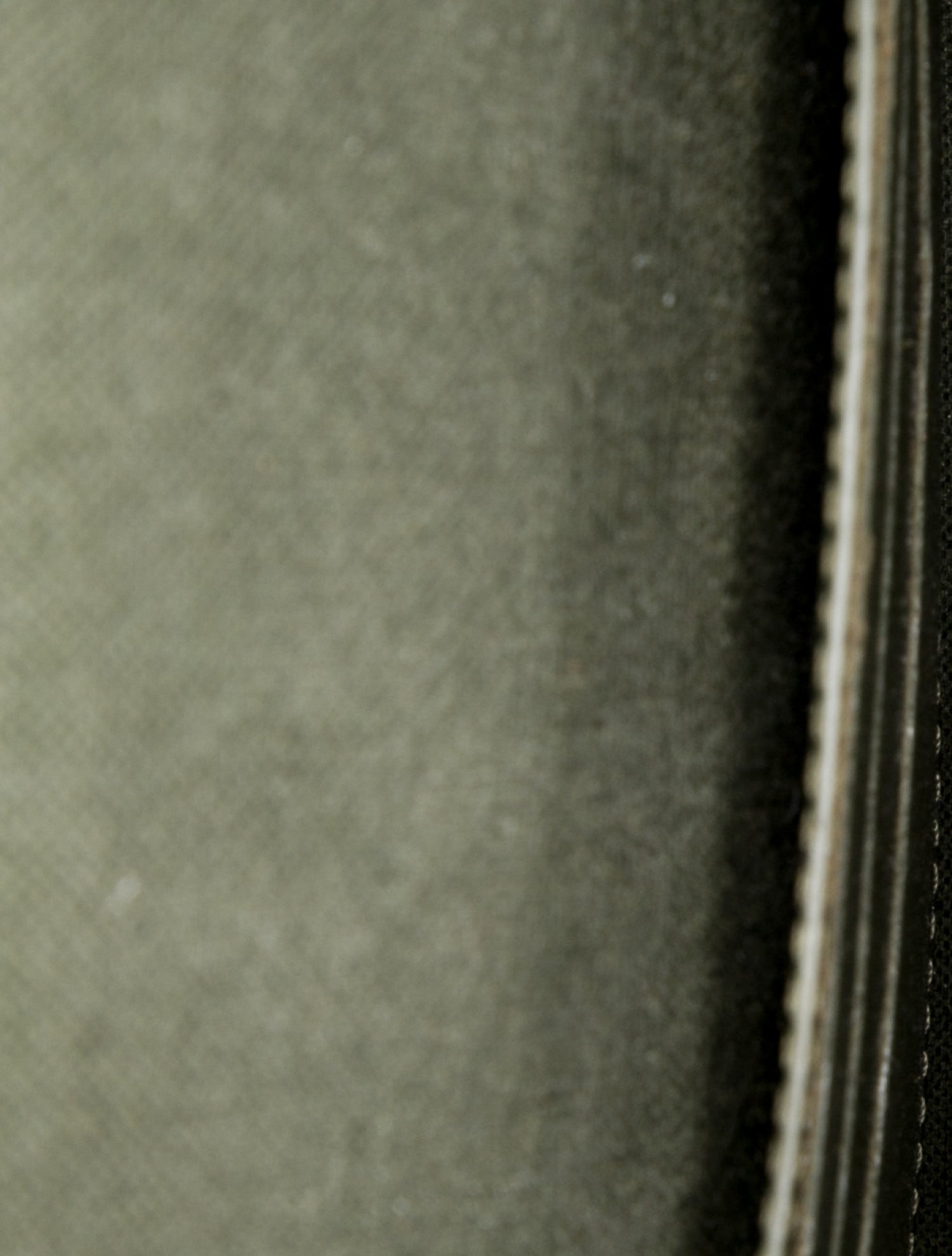 Louis Vuitton Monogram Félicie Strap & Go