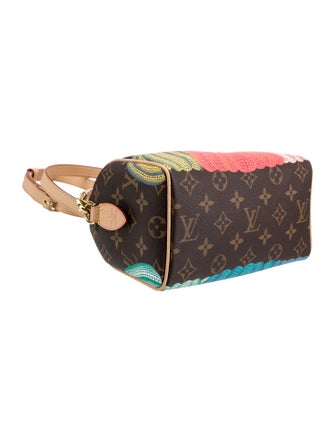 Louis Vuitton LV Monogram Speedy Bandouliere 20