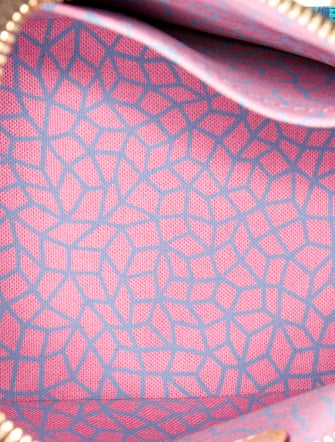 Louis Vuitton LV Monogram Speedy Bandouliere 20