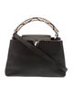 Louis Vuitton LV Monogram Capucines PM