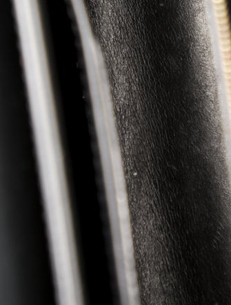 Louis Vuitton LV Monogram Twist