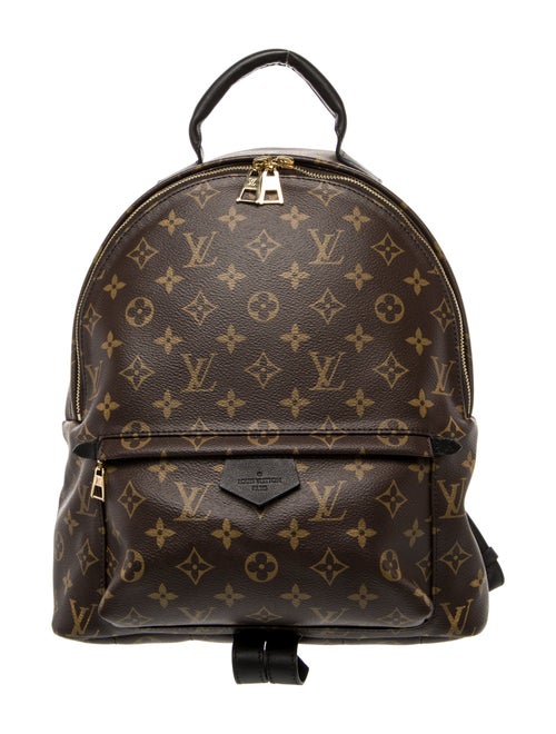 Louis Vuitton LV Monogram Palm Springs MM