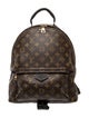 Louis Vuitton LV Monogram Palm Springs MM