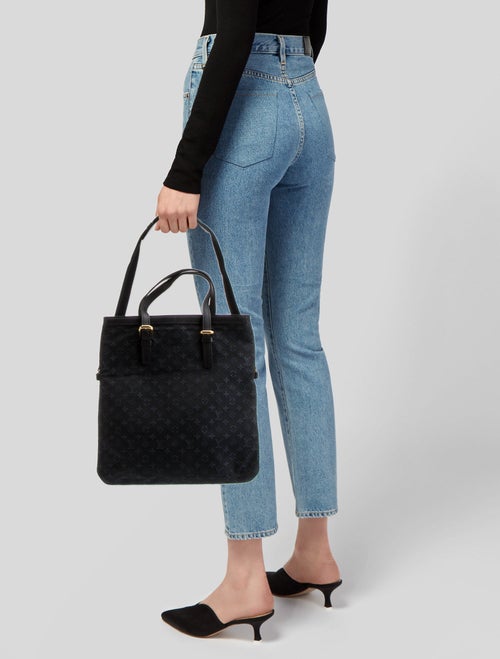 Louis Vuitton Monogram Mini Lin Francoise