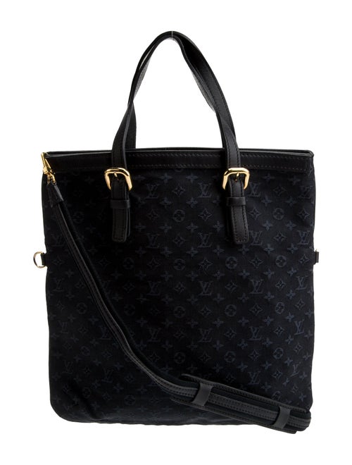 Louis Vuitton Monogram Mini Lin Francoise