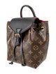 Louis Vuitton LV Monogram Montsouris BB