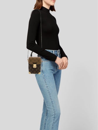 Louis Vuitton LV Monogram Camera Box