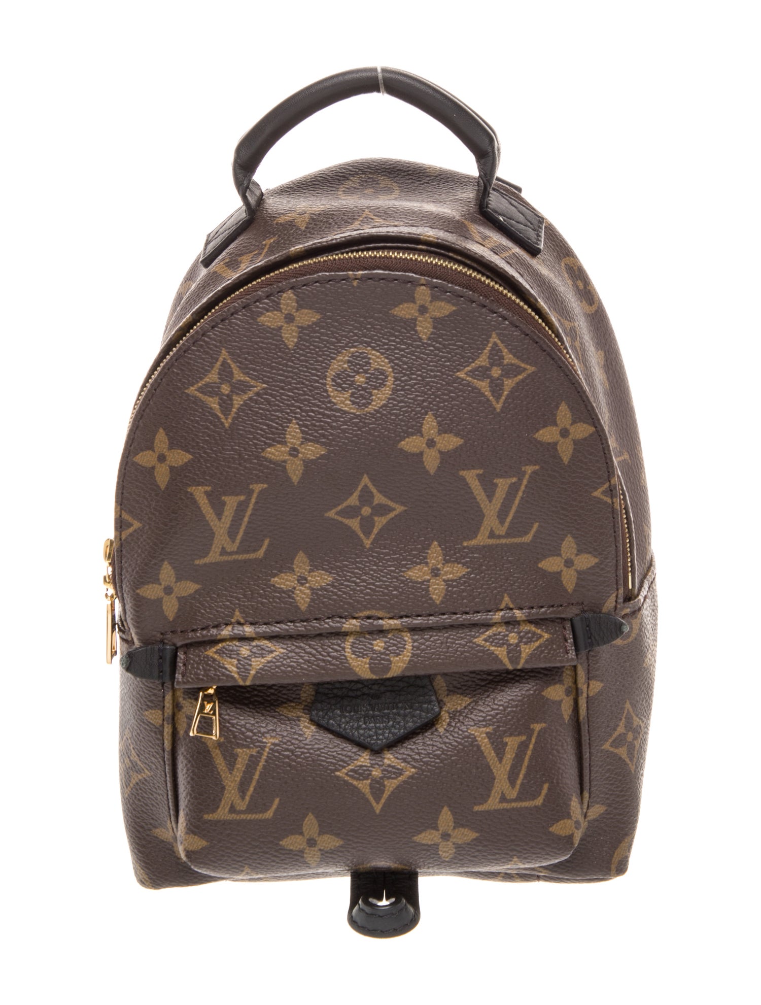 Louis Vuitton Monogram Palm Springs Mini