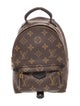 Louis Vuitton Monogram Palm Springs Mini