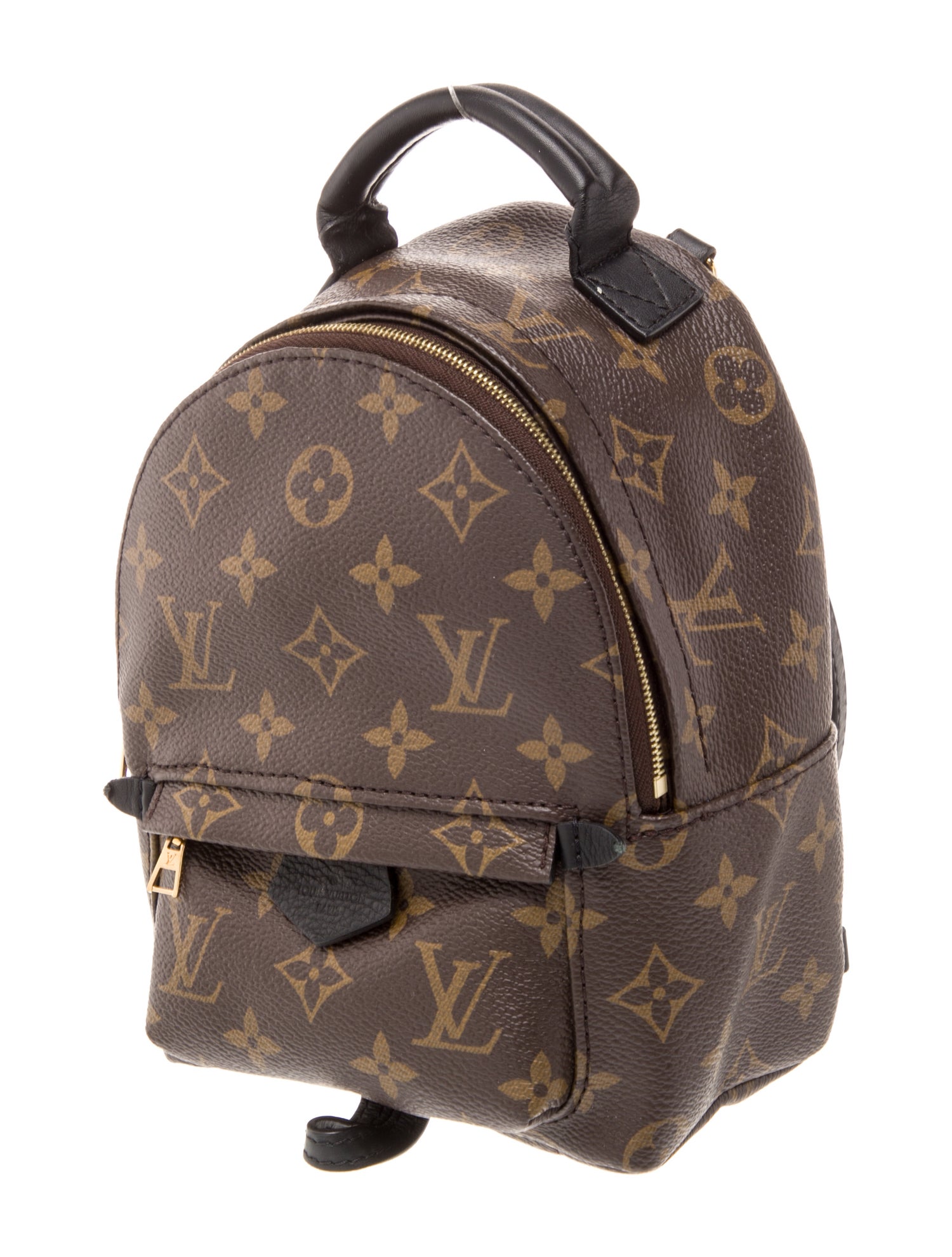 Louis Vuitton Monogram Palm Springs Mini