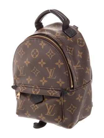 Louis Vuitton Monogram Palm Springs Mini