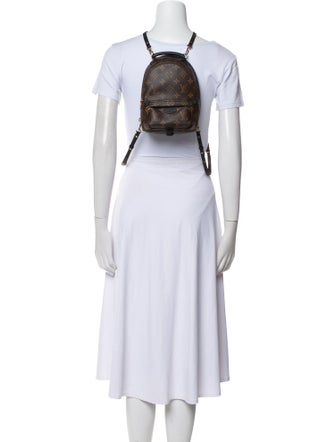 Louis Vuitton Monogram Palm Springs Mini