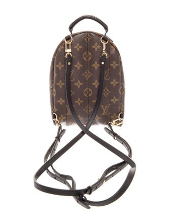 Louis Vuitton Monogram Palm Springs Mini