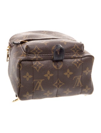 Louis Vuitton Monogram Palm Springs Mini