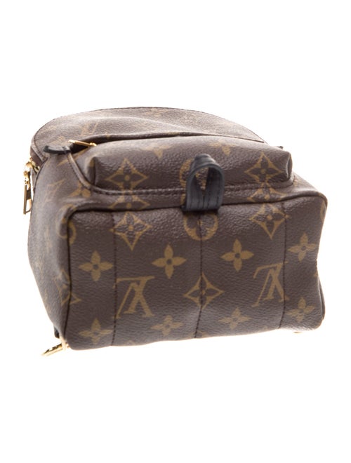 Louis Vuitton Monogram Palm Springs Mini