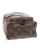 Louis Vuitton Monogram Palm Springs Mini