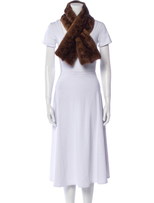 Louis Vuitton Mink 2017 Stole