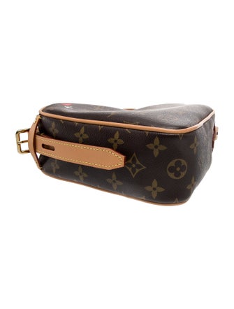 Louis Vuitton Monogram Coeur Heart