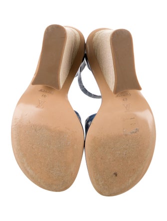 Louis Vuitton LV Monogram Denim Espadrilles