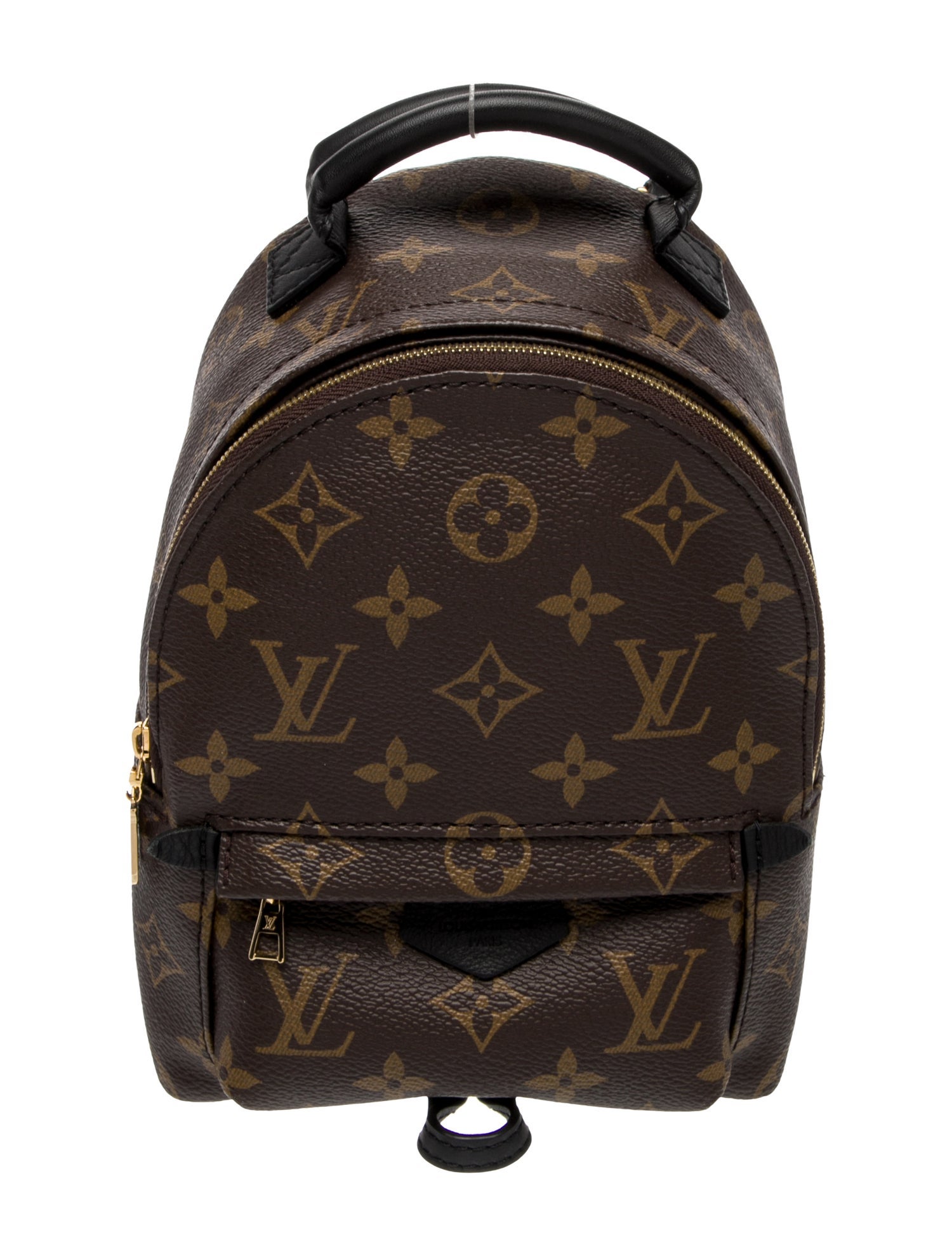 Louis Vuitton LV Monogram Palm Springs Mini