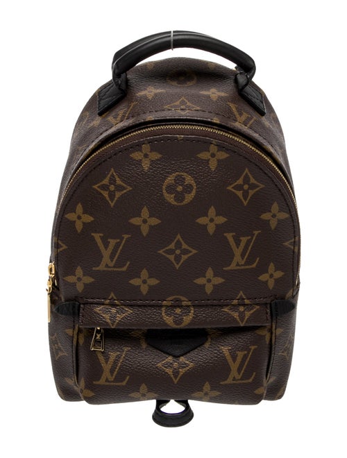 Louis Vuitton LV Monogram Palm Springs Mini