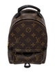 Louis Vuitton LV Monogram Palm Springs Mini