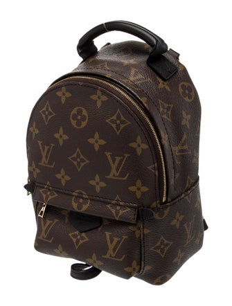 Louis Vuitton LV Monogram Palm Springs Mini