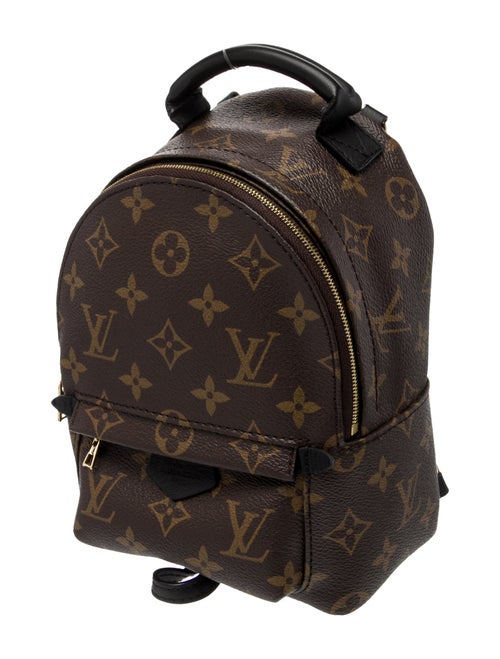 Louis Vuitton LV Monogram Palm Springs Mini