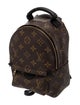 Louis Vuitton LV Monogram Palm Springs Mini